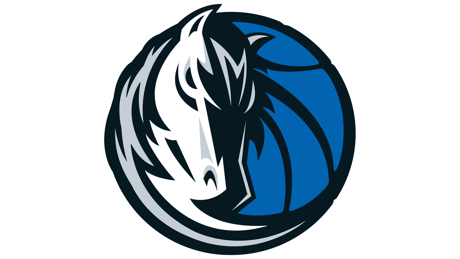 DALLAS MAVERICKS