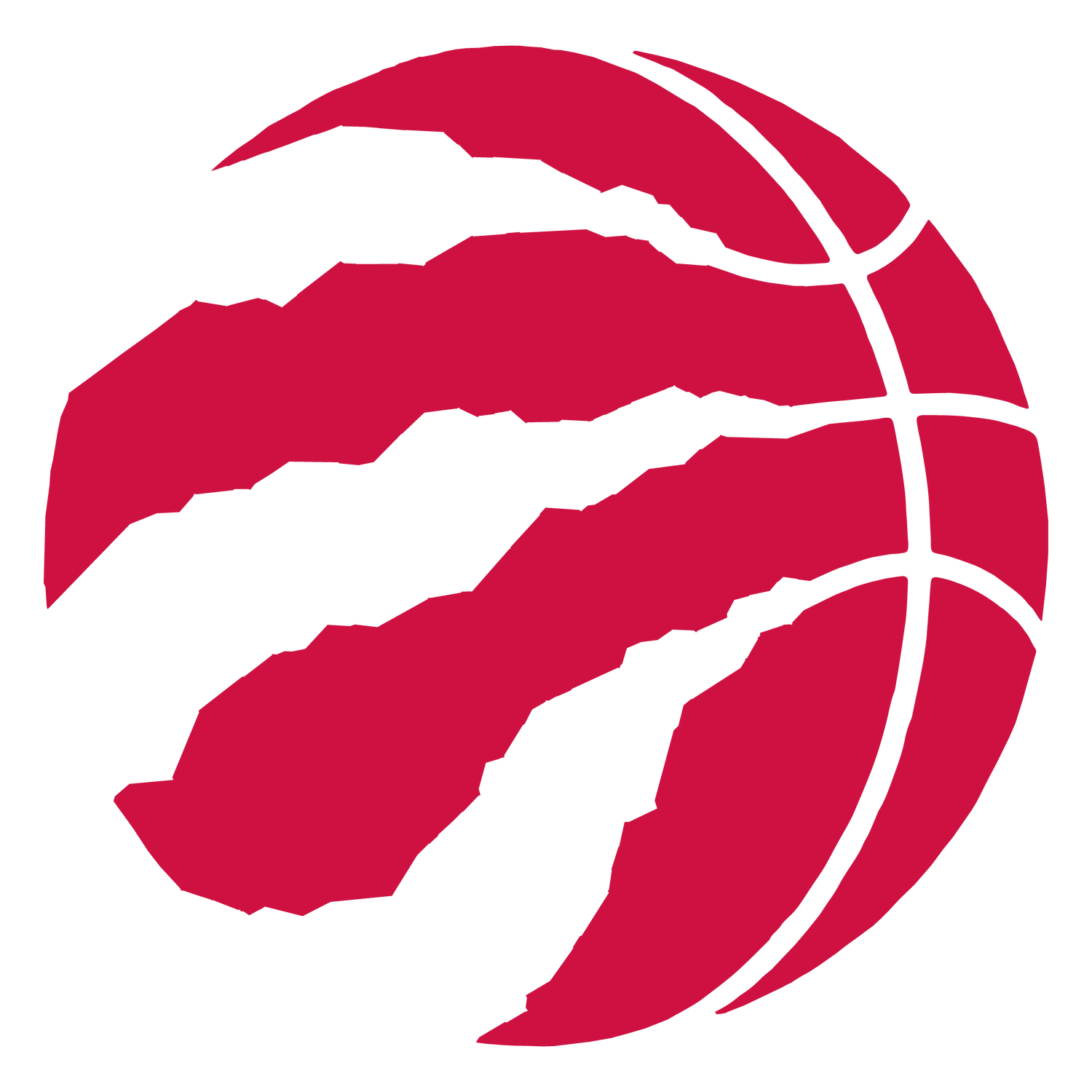 TORONTO RAPTORS